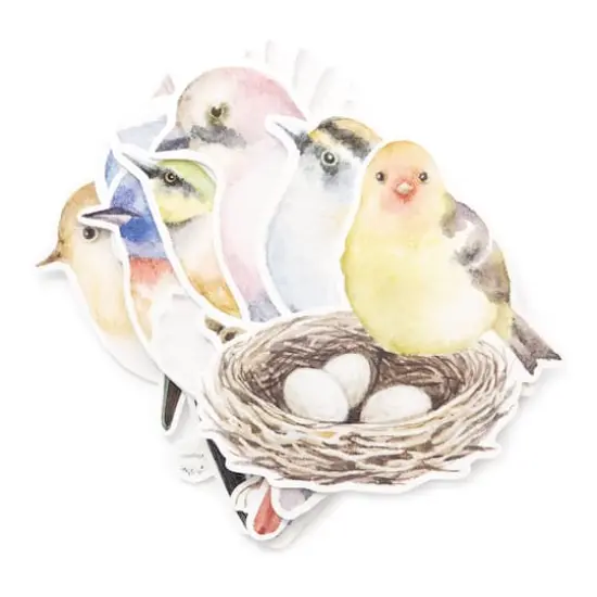 Birds Die Cut Stickers by Recollections&trade; {4}