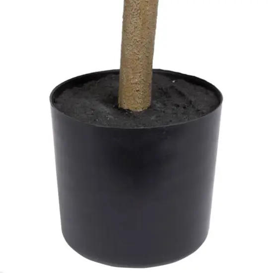 6ft. Potted Green Nandina Tree {7}