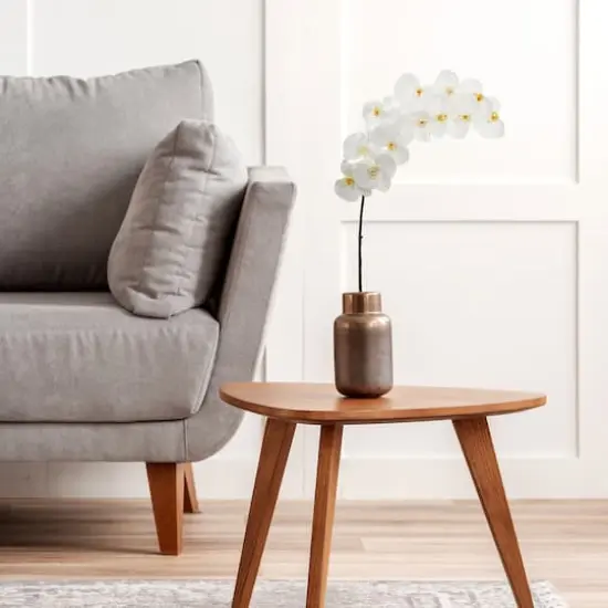 White Moth Orchid Stem, 3ct. {5}