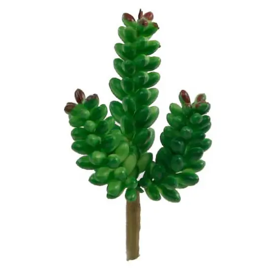 Flora Bunda&reg; Donkey Tail Succulent Pick, 12ct. {1}