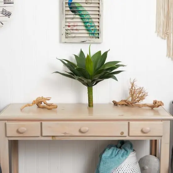 19" Agave Plant Set {3}