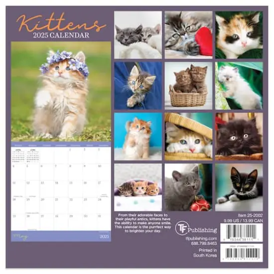 TF Publishing 2025 Kittens Mini Calendar {3}