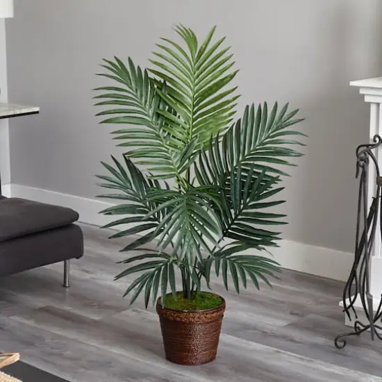 4ft. Kentia Palm Tree in Coiled Rope Planter {3}