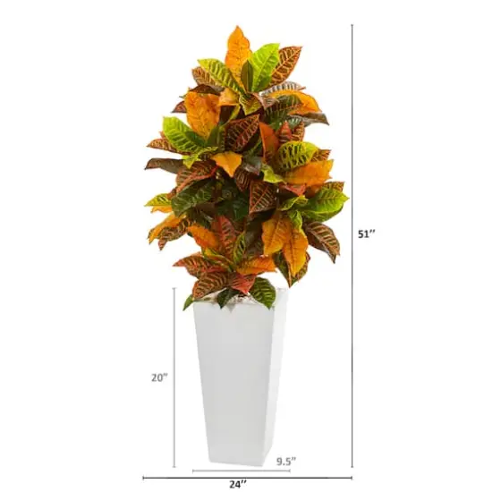 4.25ft. Croton Plant in White Tower Planter {3}
