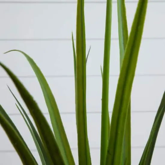 2ft. UV Resistant Artificial Grass Plant  {4}