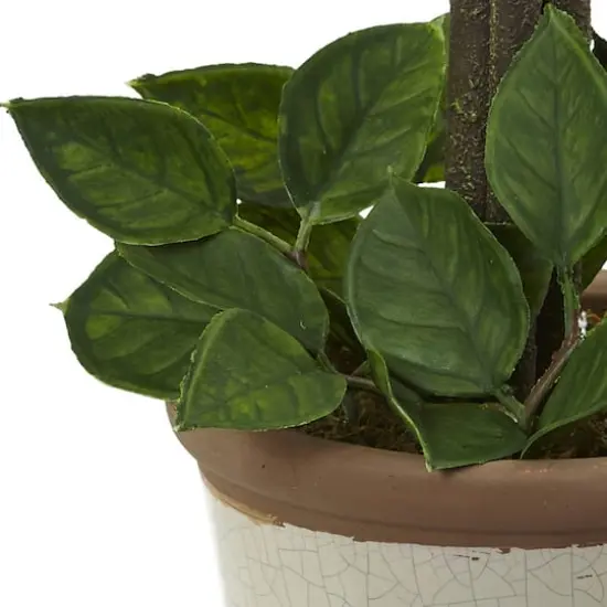 18" Potted Lemon Ball Topiary Arrangement  {4}