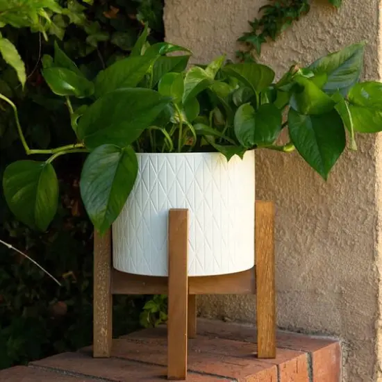 Flora Bunda 8" Matte White Diamond Ceramic Pot On Wood Stand {4}