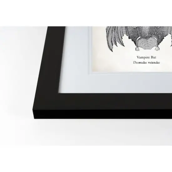 Vampire Bat Halloween Print in Black Frame {3}