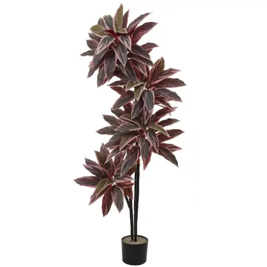 4.5ft. Potted Caladium Silk Plant {1}