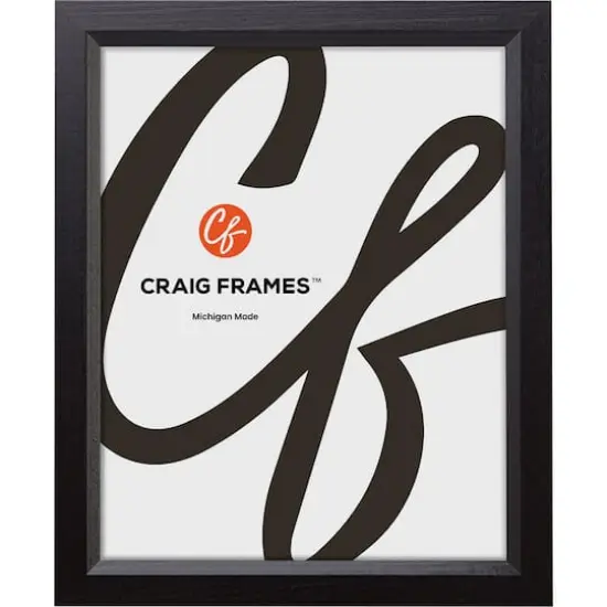 Craig Frames Economy Ebony Hardwood Picture Frame {1}