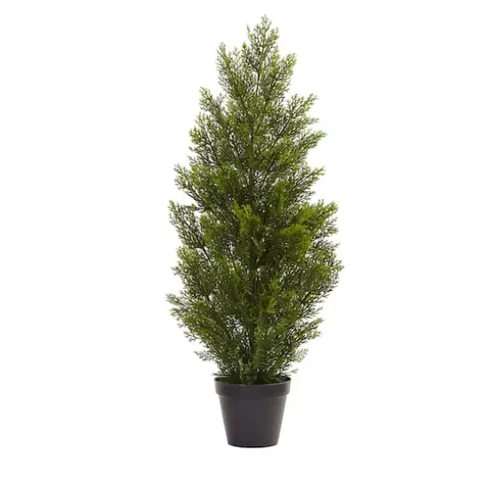 3ft. Potted Mini Cedar Pine Tree {1}