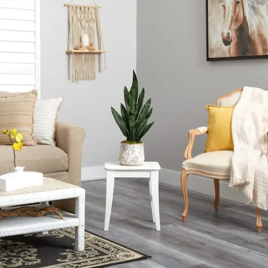 2.5ft. Snake Plant in Decorative Vintage Planter {5}