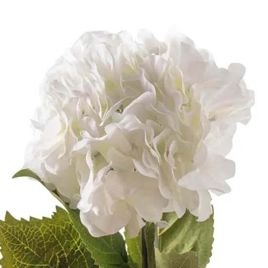 Hydrangea Stem by Ashland&reg; Classic Traditions&trade; {4}