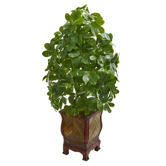 3ft. Umbrella Plant in Decorative Planter {1}