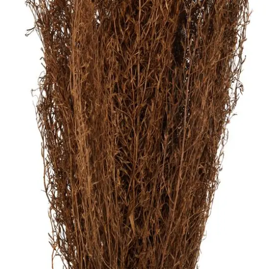 45" Brown Dried Natural Pampas Grass Foliage {6}
