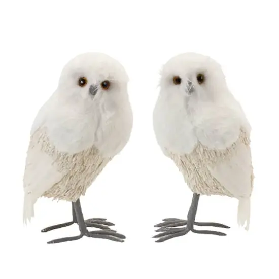 12.5" Winter Owl D&eacute;cor Set {1}