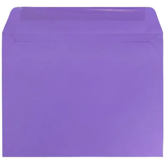 JAM Paper 9" x 12" Booklet Envelopes, 25ct. Violet Purple {4}