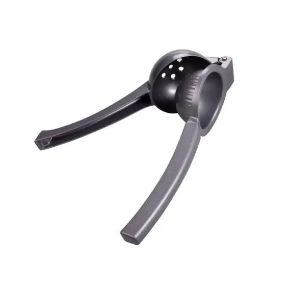 Citrus Squeezer by Celebrate It&reg; {6}