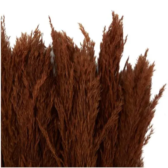 Dried Plant Pampas Natural Foliage with Long Stems Copper {5}