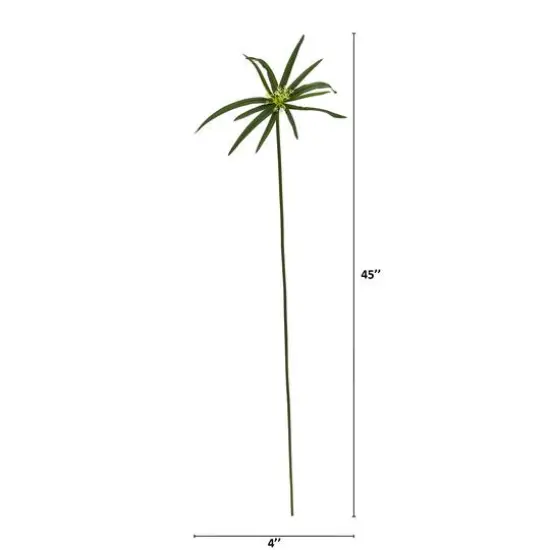 45" Green Cyperus Spray, 12ct. {3}