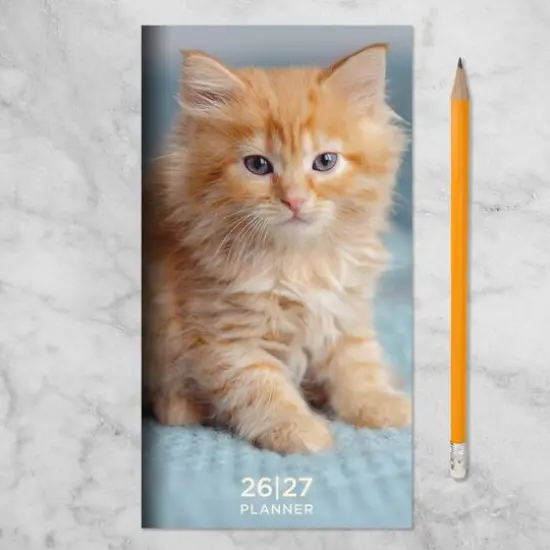 2026-2027 Kitten Small Monthly Pocket Planner {7}