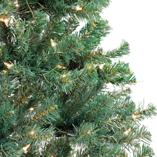 6ft. Pre-Lit Acacia Artificial Christmas Tree, Clear Lights {5}