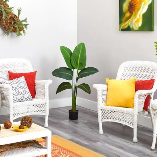 4ft. Potted Travelers Palm {5}