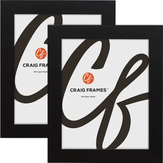 2 Pack Craig Frames Bauhaus Mystic Satin Black Picture Frame {1}