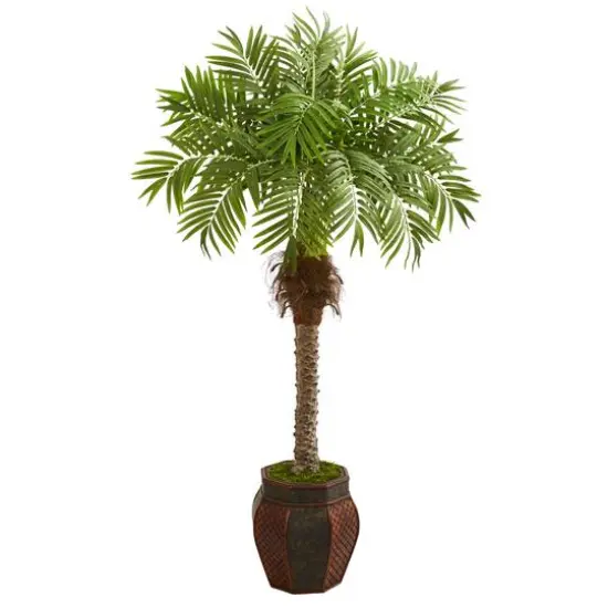 5ft. Robellini Palm Tree in Brown Decorative Planter {1}