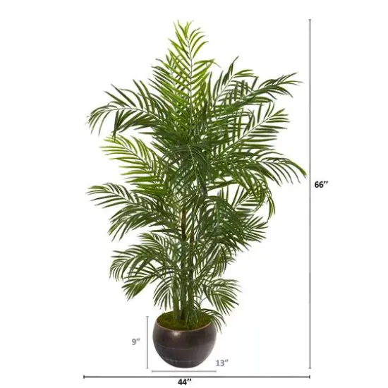 5.5ft. Areca Palm Tree in Brown Planter {3}