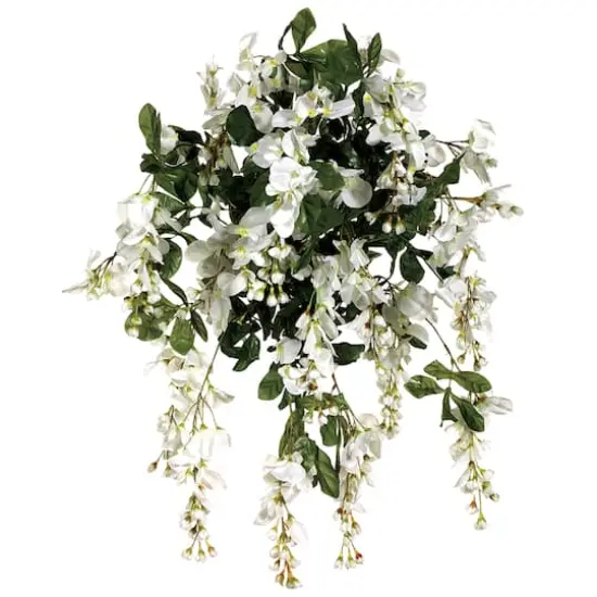 White & Green Wisteria Hanging Bush {1}