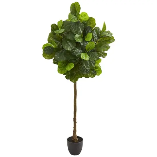 6ft. Potted Fiddle Leaf Tree {1}