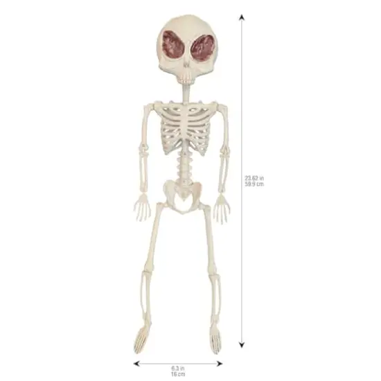 24" Alien Skeleton by Ashland&reg; {4}