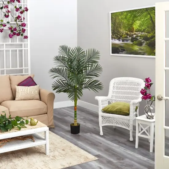 5ft. Potted Golden Cane Palm Tree {5}