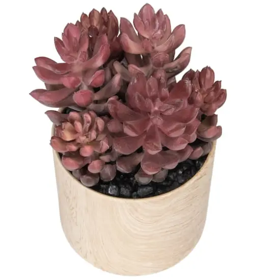 7" Purple Succulent in Faux Wood Pot {6}