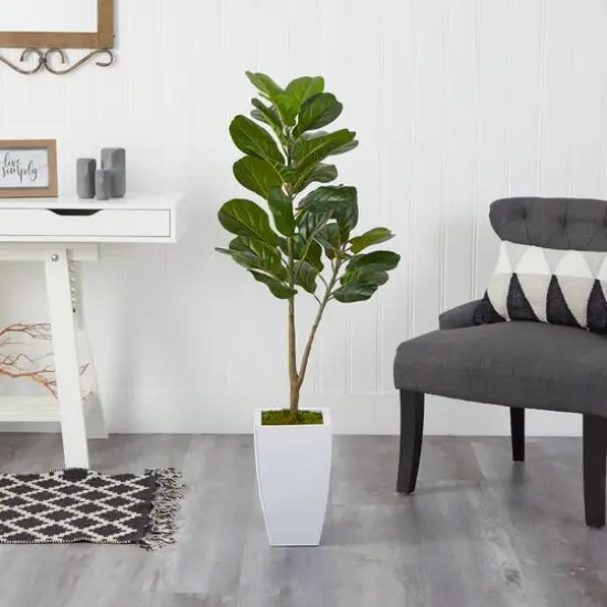 4ft. Fiddle Leaf Fig Tree in White Metal Planter {3}