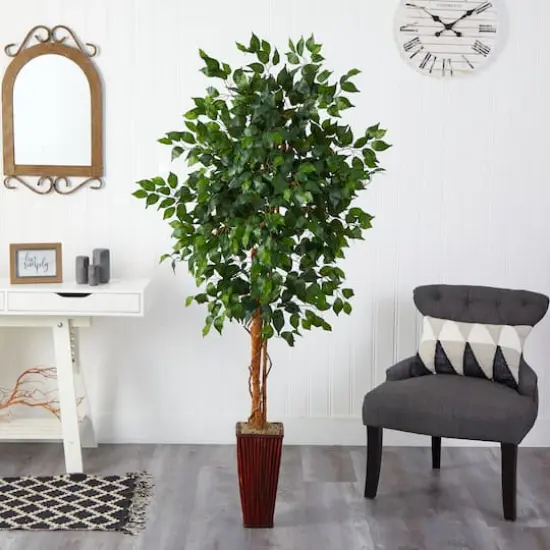 6ft. Ficus Tree in Bamboo Planter {3}