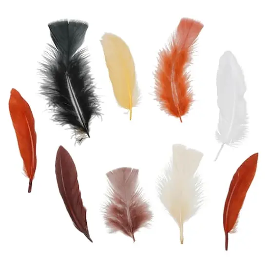 Neutral Feathers Value Pack by Creatology&trade; {1}