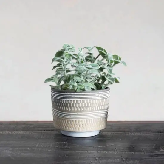 Hello Honey&reg; 7" Debossed Stoneware Planter {4}