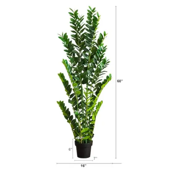 5ft. Artificial Zamioculcas Plant {3}