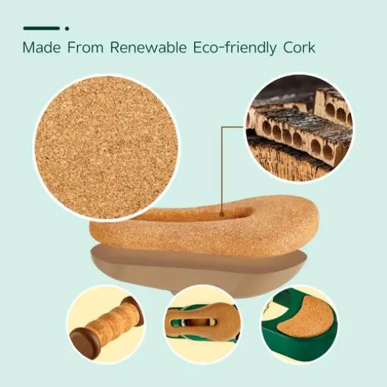 Hape Get Up & Go Green Learn to Ride Balance Bike {9}