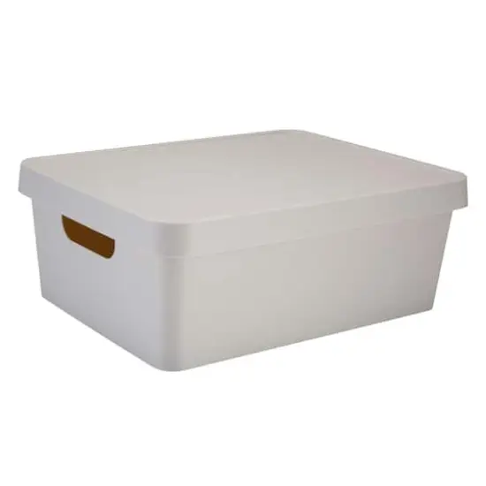 Simplify 14.5" Vinto Storage Box with Lid Ivory {1}
