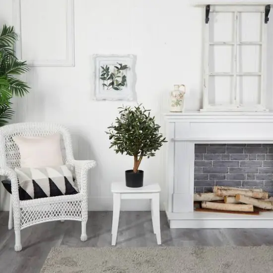2.5ft Olive Tree in Black Planter {4}