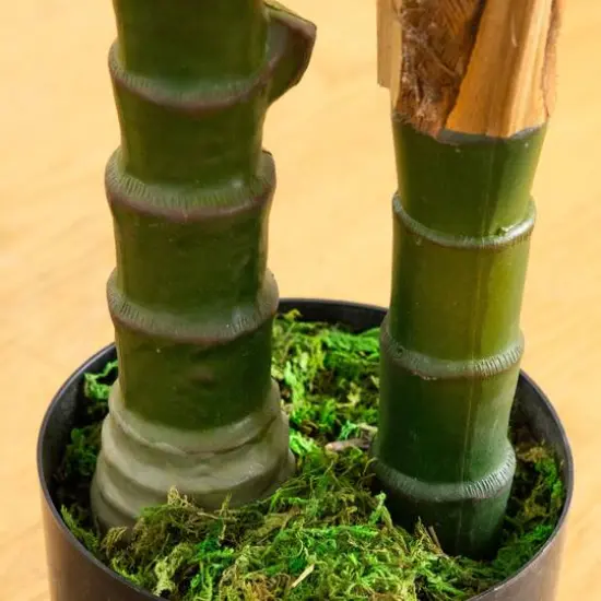 4ft. UV Resistant Artificial Double Robellini Palm Tree (Indoor/Outdoor) {7}