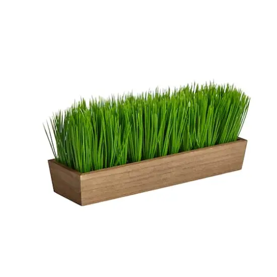 5" Grass Plant in Decorative Planter {4}