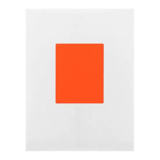 JAM Paper Extra Large Shipping Address Label Stickers Neon Red {7}