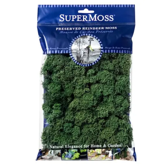 SuperMoss&reg; Preserved Reindeer Moss, Forest {1}