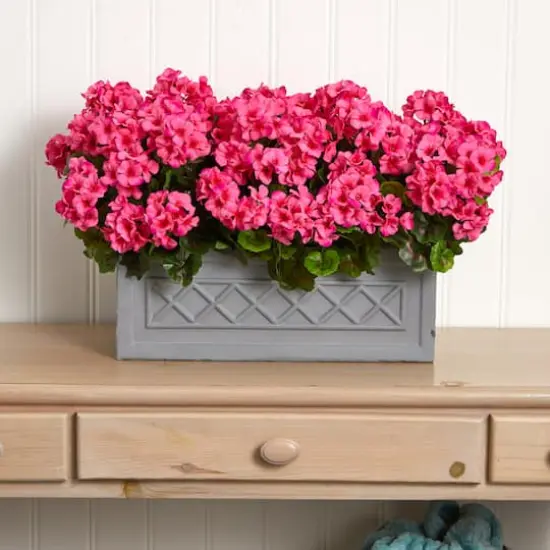 18&rdquo; Beauty Geranium in Stone Planter {4}
