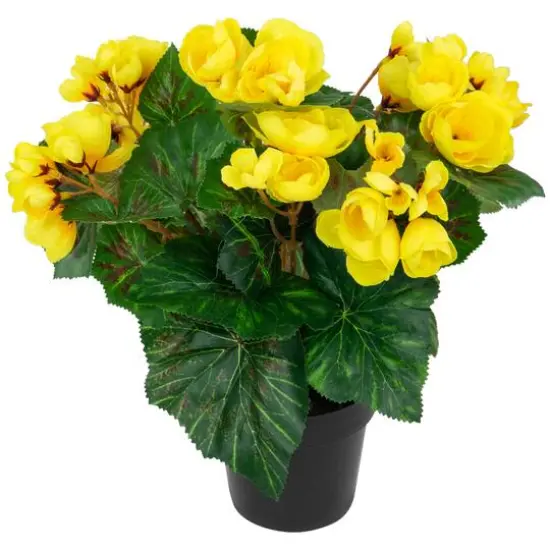 11" Yellow Potted Silk Begonia Floral Arrangement {4}