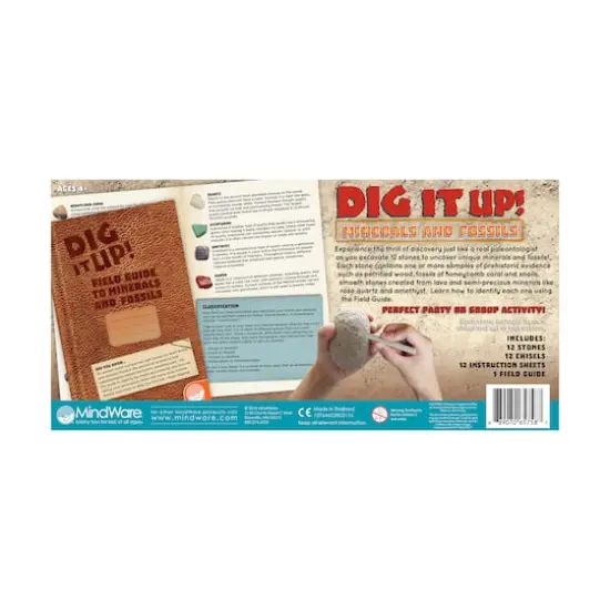 Dig It Up! - Minerals and Fossils {5}
